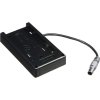 paralinx_11_1272_1_ace_battery_plate_with_1477602554000_1266814.jpg