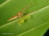 smugmug (1 of 1)-378.jpg