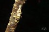 $IMG_9356b.jpg