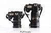 $Nikon-AF-S-Nikkor-24-70mm-f2.8E-ED-VR-lens-review-550x367.jpg