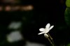 $uploadfromtaptalk1440131697627.jpg