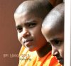 $CB12 young monks.jpg