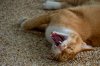 $P1012081.jpg