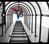 $Superman.jpg
