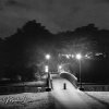 DITN – In The Park_wm.jpg
