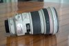 DSC08586.jpg