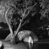 A Walk in the Garden-2_wm.jpg