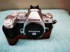 IMG_20200819_154753.jpg