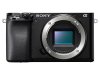 Sony a6100.jpg