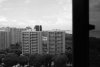 R4290011a.jpg