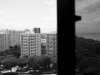 R4290013a.jpg