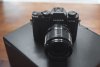 DSC_3502.jpg