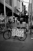 $DSCF0096.jpg