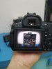 IMG_20201126_000123.jpg
