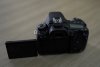 DSC00048.JPG