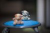 $nikon 105E small-12.jpg