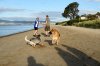 $sony_A6_01489_03.jpg