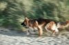 $sony_A6_01492_04.jpg