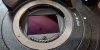 sony_fs7_mark_ii_with_raw_reco_1627632713_fd669f5b_progressive.jpg