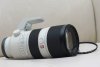 DSC01176-2.jpg
