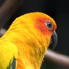 DSC01662-3-3.jpg