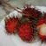 cherrybeet