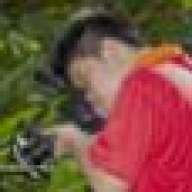 Loyd Siew
