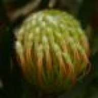 cheongkl