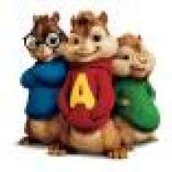 chipmuns