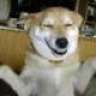 japlook