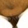 nuracosho