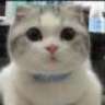 FuraCelest