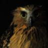 FAT OWL