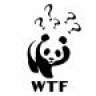 qdipanda