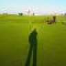 DGman
