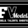 fvmodels