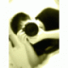rongwei82