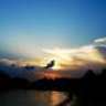 skyguy