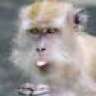 ian0138