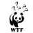 qdipanda