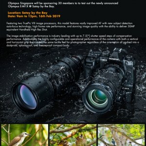Olympus E-M1X World of Nature & Birds Shoot Challenge - Satay by the Bay.jpg