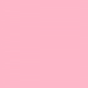 Paradise Pink 01.png