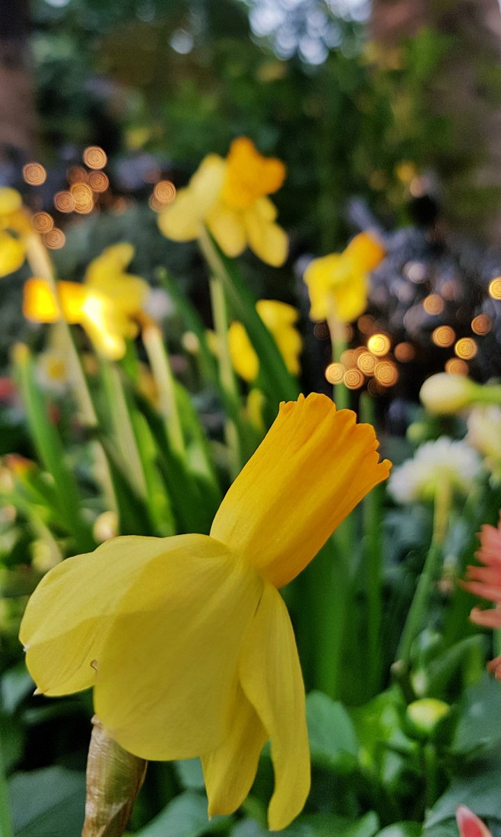 20190126_180132-2048.jpg