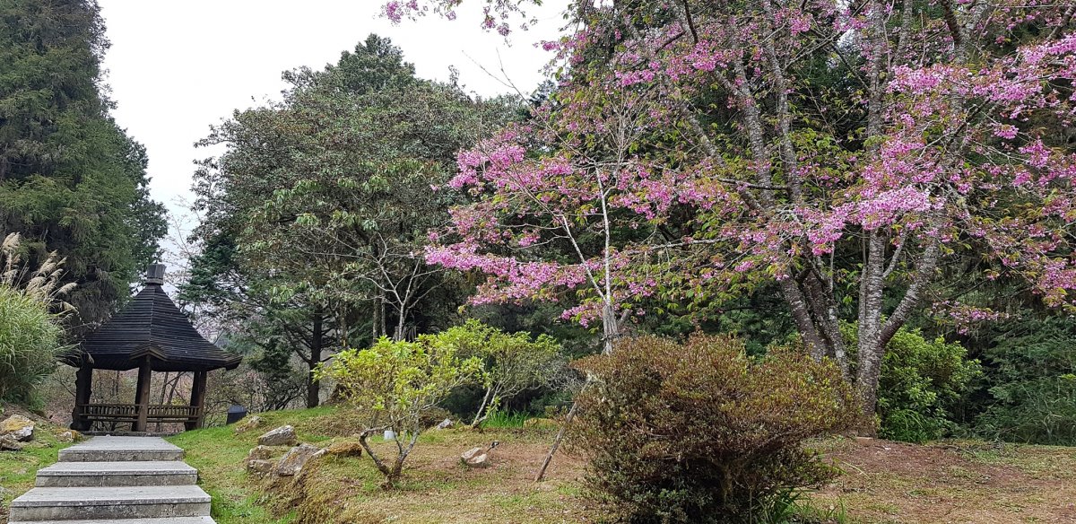 20190304_160626-2048.jpg