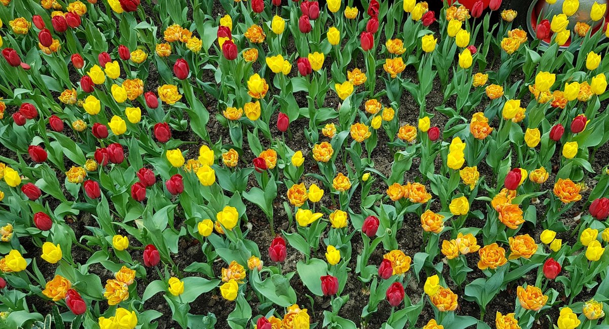 20190518_141319-2048.jpg