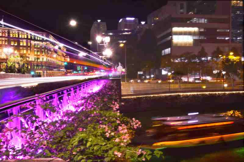 coleman bridge 1_00001.jpg