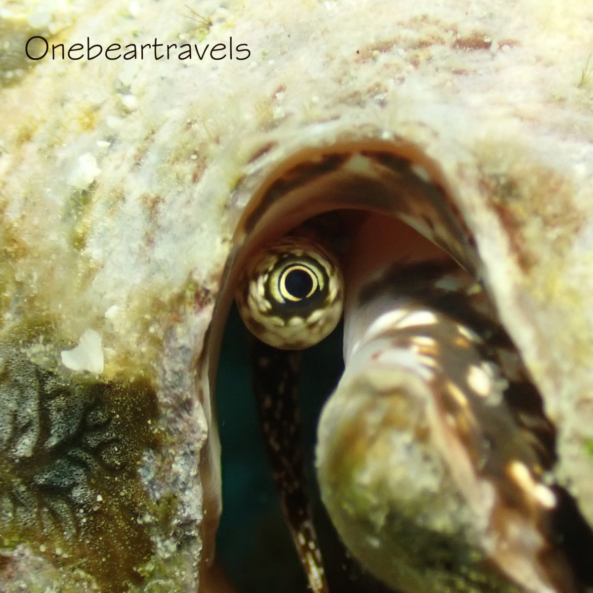 I see you. Do you see me?