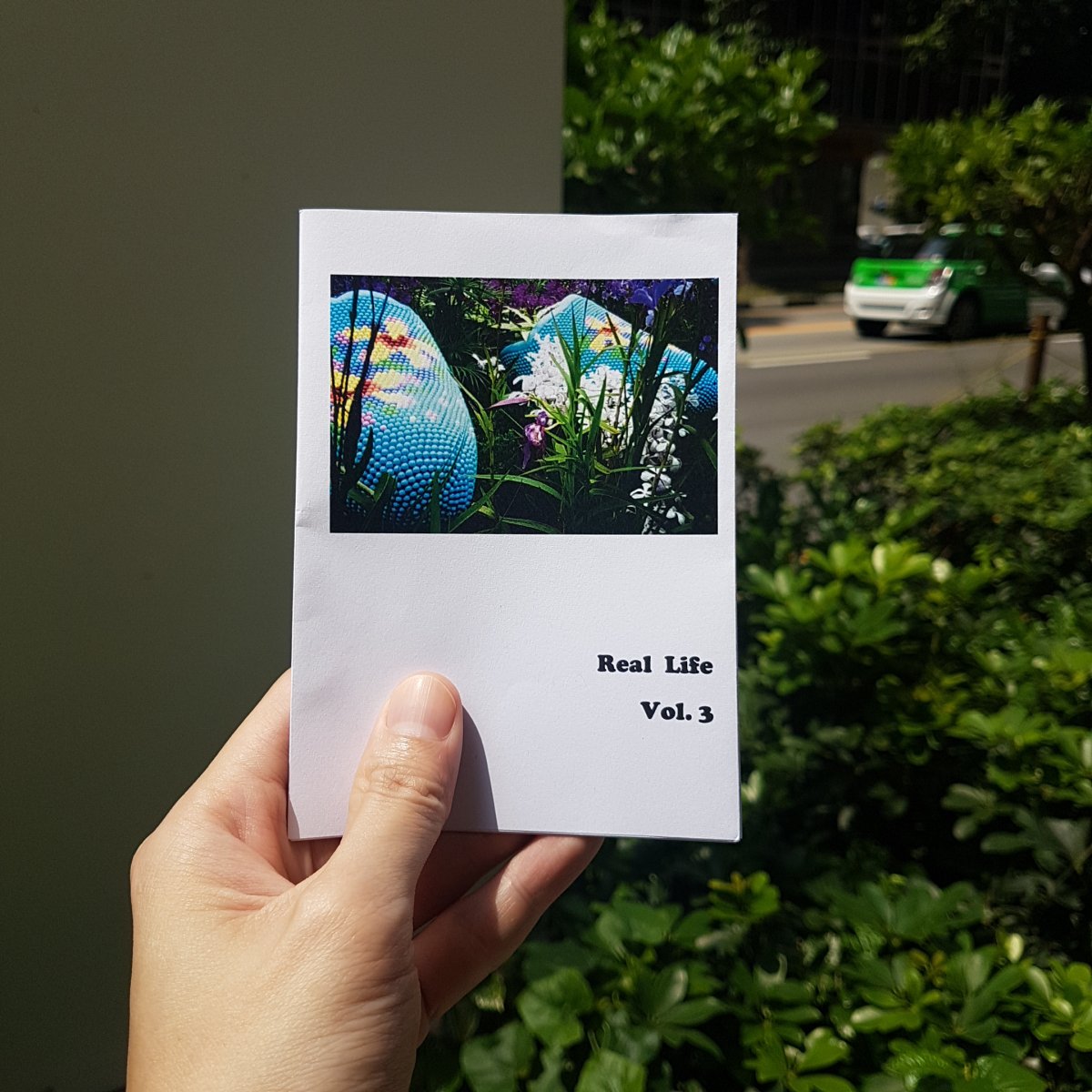 Real Life Vol 3_1