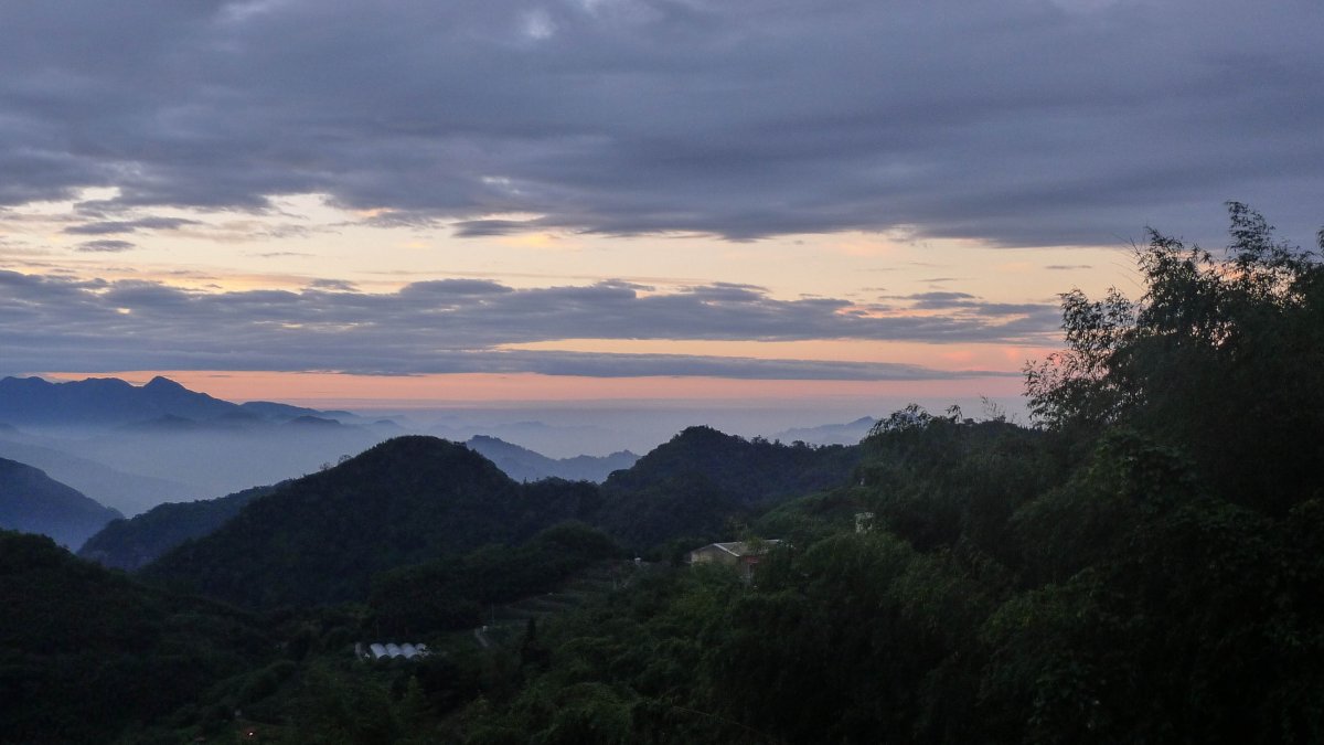 Sunrise at Alishan, Taiwan