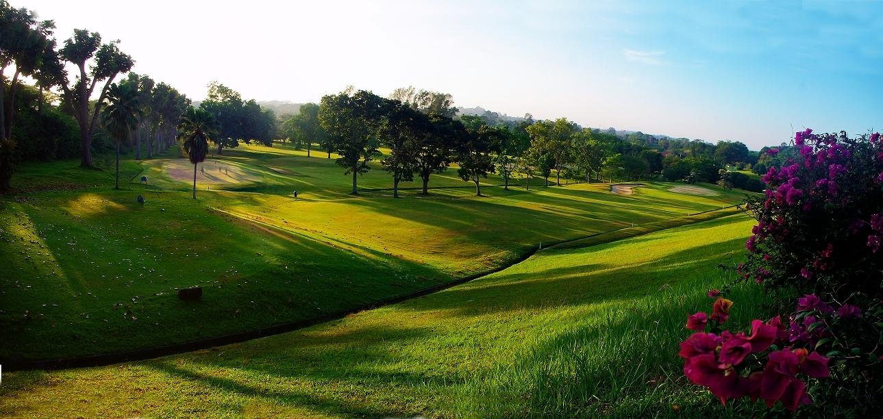 agolf01.JPG
